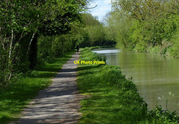 Photo 6"x4" Tree lined stretch of the Oxford Canal in Rugby Rugby c2015
