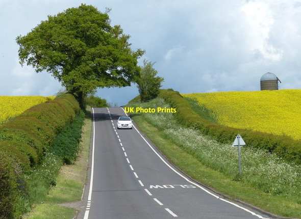 Photo 6"x4" Hillmorton Lane towards Clifton upon Dunsmore Hillmorton c2015