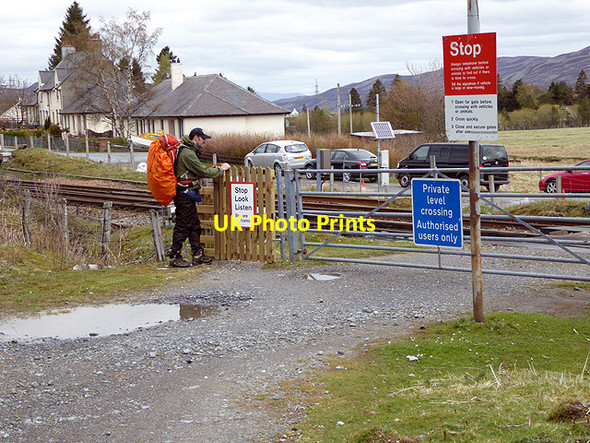 Photo 6"x4" The crossing at Dalwhinnie Dalwhinnie c2015