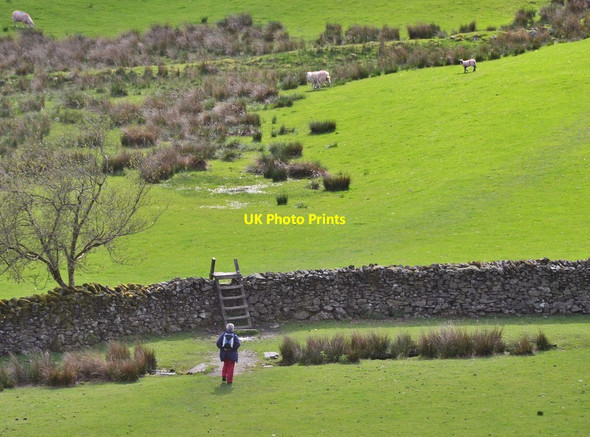 Photo 6"x4" Walker and stile, Loughrigg Tarn Skelwith Bridge c2015