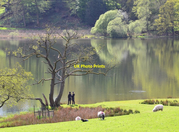 Photo 6"x4" Two figures by Loughrigg Tarn Skelwith Bridge c2015