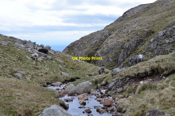 Photo 6"x4" Head of Dungeon Ghyll Langdale Pikes c2015