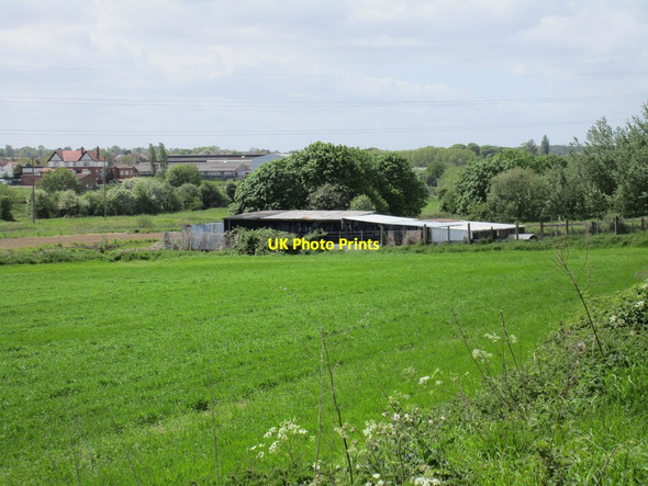 Photo 6"x4" Smallholding by the railway Worksop c2015