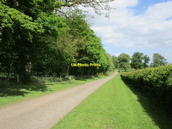 Photo 6"x4" Alongside Gravel Pit Wood Scofton c2015