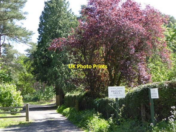 Photo 6"x4" Private track off Swinley Road by Crown Cottages North Ascot c2015