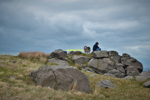 Photo 6"x4" Overlooking Cors Tewgyll Caermeini c2015