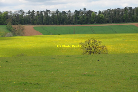 Photo 6"x4" Colours in a Cotswold Landscape Blockley c2015