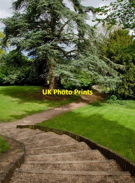 Photo 6"x4" Avonbank Gardens, Stratford-Upon-Avon Stratford-upon-Avon c2015