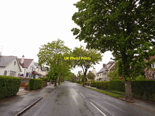 Photo 6"x4" Swanland Road Hessle Hessle\/TA0326 c2015