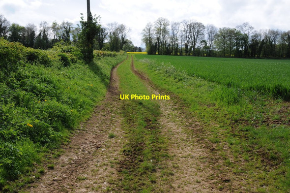 Photo 6"x4" Farm track on Bourton Hill Sezincote c2015