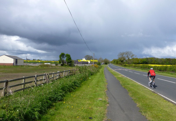 Photo 6"x4" Cyclist on the A196 Bothal c2015