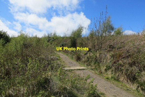 Photo 6"x4" Path,Maspie Den Falkland c2015