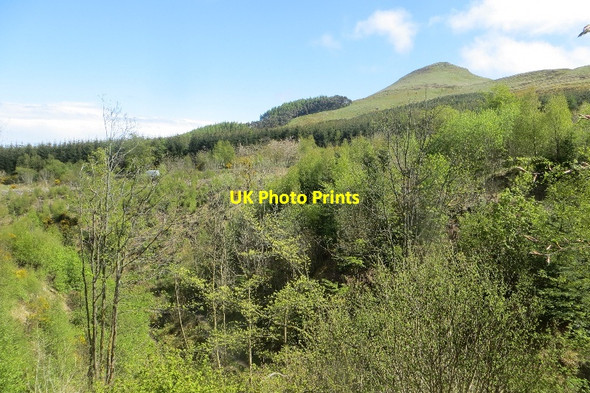 Photo 6"x4" Maspie Den Falkland c2015