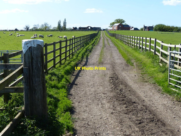 Photo 6"x4" Track leading to Sawbridge Sawbridge c2015