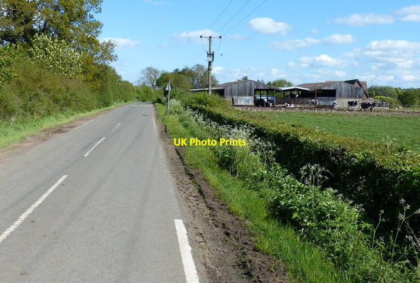 Photo 6"x4" Sawbridge Road heading towards Sawbridge Grandborough c2015
