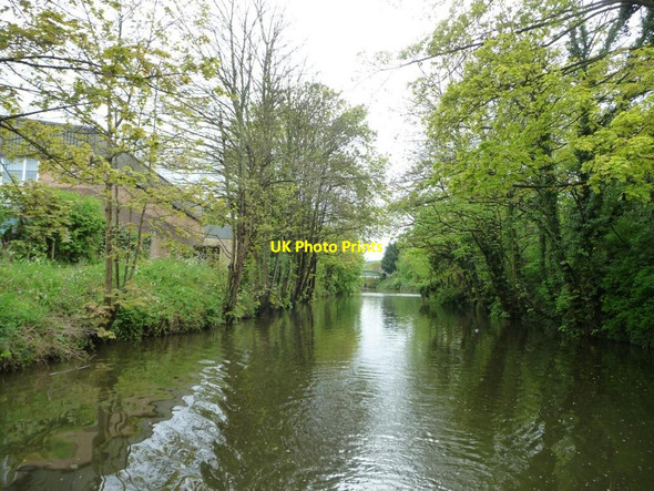 Photo 6"x4" Weston Cut, River Avon, looking eastwards Bath\/ST7464 c2015
