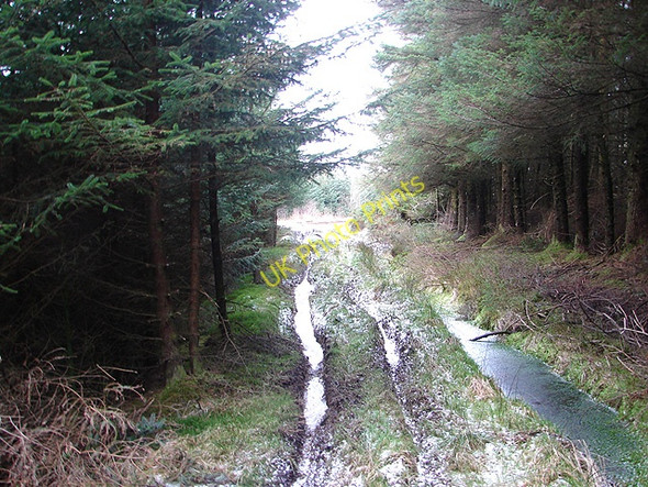 Photo 6"x4" Difficult walking Pant Mawr\/SN8482 c2009