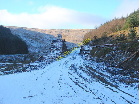 Photo 6"x4" Timber stacks in Cwm Afon Bidno Pant Mawr\/SN8482 c2009
