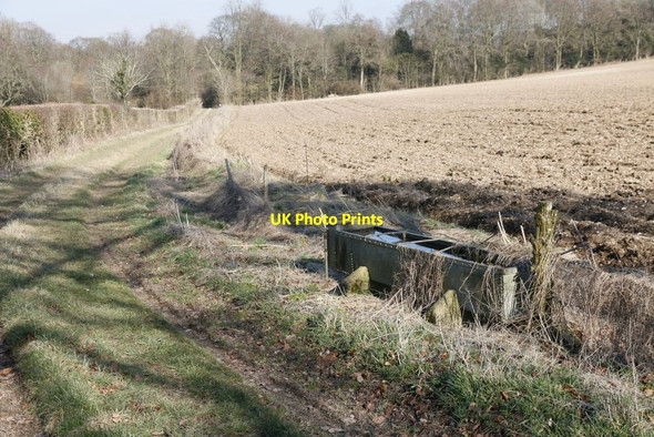 Photo 6"x4" Trough by the Path Couch Green c2015