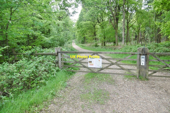 Photo 6"x4" Deerleap Inclosure, gates Ashurst\/SU3310 c2015
