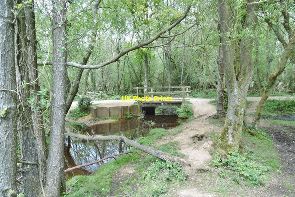 Photo 6"x4" Longdown Inclosure, bridge Ashurst\/SU3310 c2015