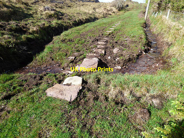 Photo 6"x4" Stepping stones on the Kerry Way Tahilla c2015