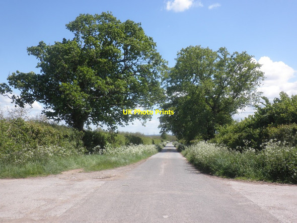Photo 6"x4" Park Lane Compass\/ST2933 c2015