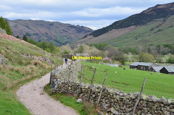 Photo 6"x4" Path to Dungeon Ghyll Middle Fell Fm c2015