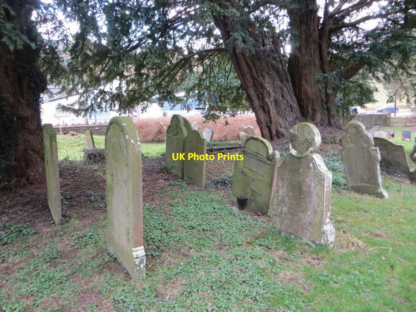 Photo 6"x4" Under the Yew Llanfihangel-nant-Melan c2015