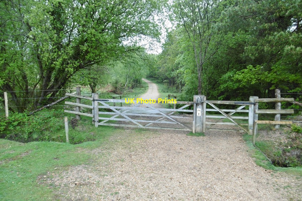 Photo 6"x4" Hawkhill Inclosure, gates Furzey Lodge c2015