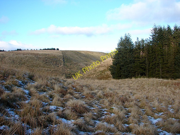 Photo 6"x4" Moorland of Blaenbidno Pont Rhydgaled c2009