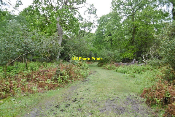 Photo 6"x4" Frame Wood, track Furzey Lodge c2015
