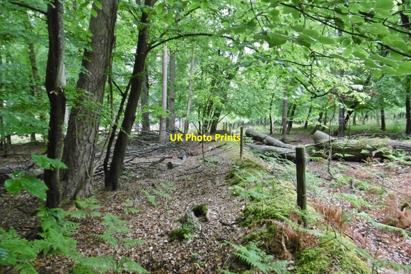 Photo 6"x4" Frame Heath Inclosure, embankment & ditch Furzey Lodge c2015