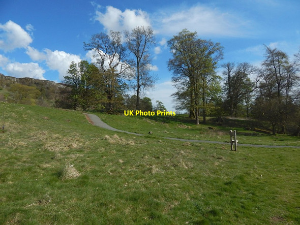 Photo 6"x4" Lang Craigs Woodland Dumbarton c2015