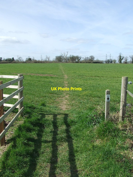 Photo 6"x4" Sandlings Walk Friston\/TM4160 c2015