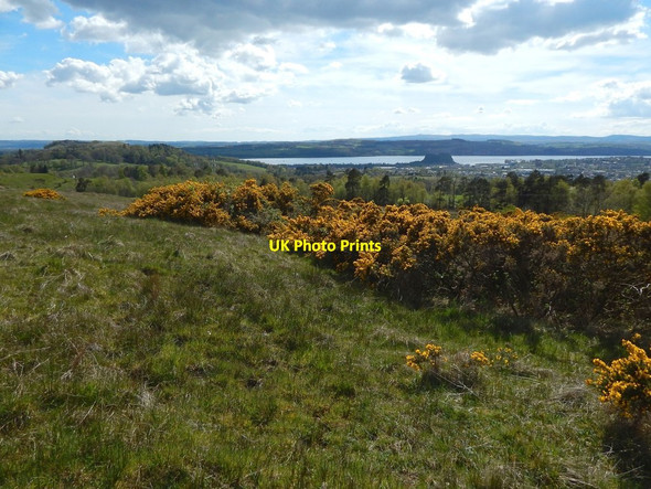 Photo 6"x4" High ground near Garshake Reservoir Dumbarton c2015