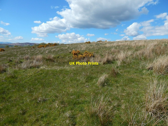 Photo 6"x4" Bomb crater Dumbarton c2015