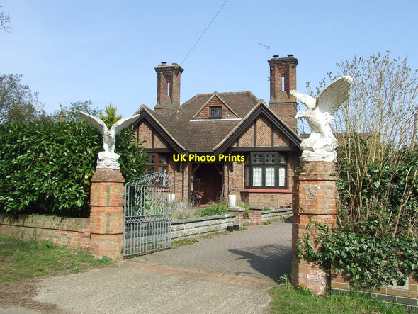 Photo 6"x4" Interesting Bungalow Fritton\/TG4600 c2015