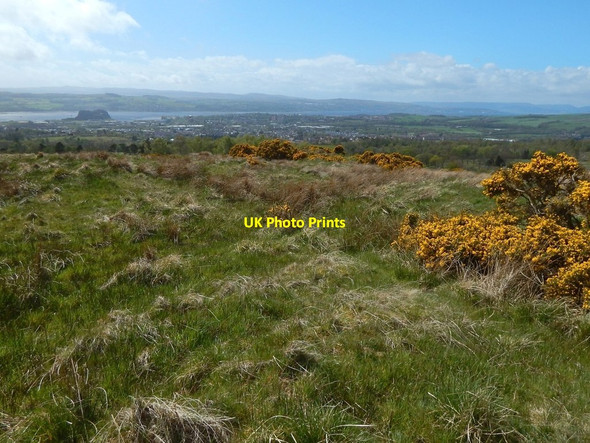 Photo 6"x4" Ancient track and cultivated plot Dumbarton c2015
