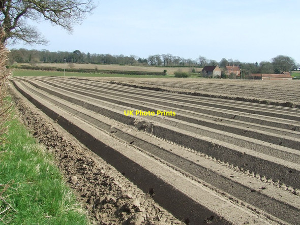 Photo 6"x4" Ploughed Field Fritton\/TG4600 c2015