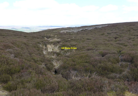 Photo 6"x4" A small burn flows in Rumbling Cleugh High Rigg\/NY9796 c2015