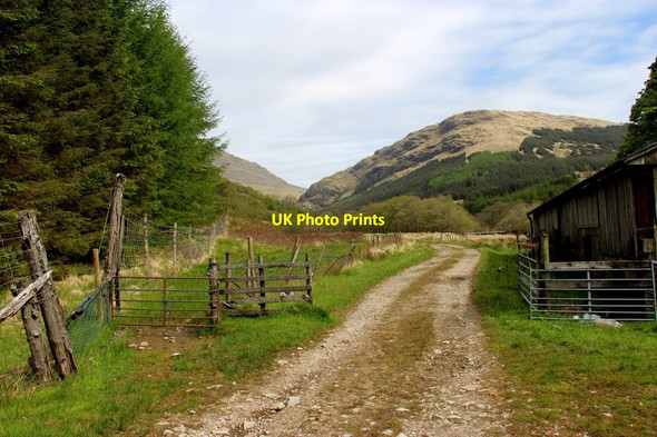 Photo 6"x4" Access road to Inverchorachan River Fyne c2015