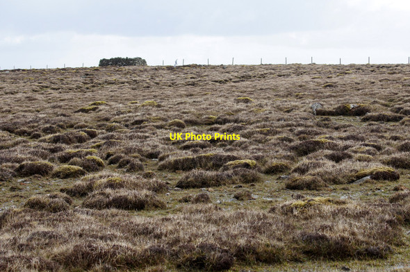 Photo 6"x4" Ward of Clugan Ordale c2015