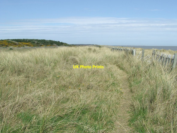Photo 6"x4" Path And Fence Eastbridge\/TM4566 c2015