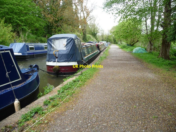 Photo 6"x4" Moorings along the Somerset Coal Canal Conkwell c2015
