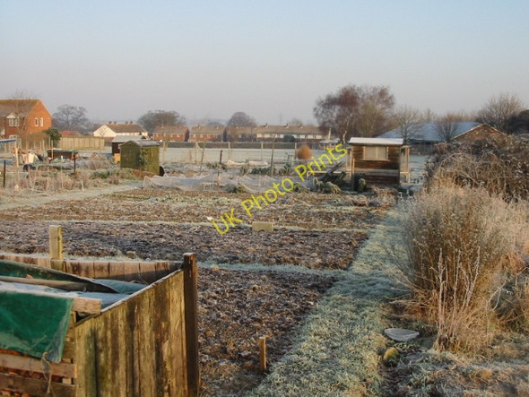 Photo 6"x4" View of the allotments, looking north Buttsole c2009