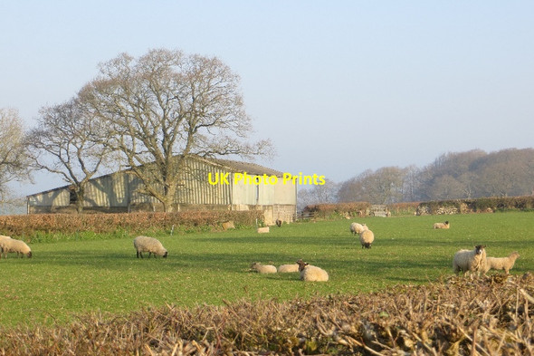 Photo 6"x4" Above Snodland Shortmoor\/ST2204 c2015