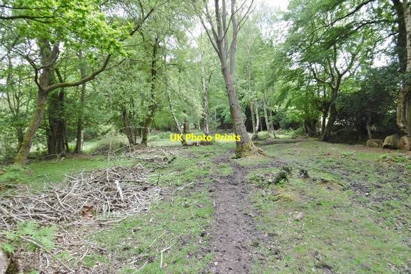 Photo 6"x4" Culverley, track Furzey Lodge c2015