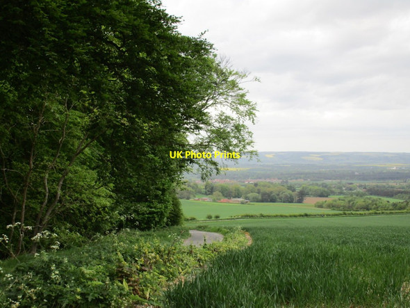 Photo 6"x4" View from Thorpe Bassett Wold Scagglethorpe c2015