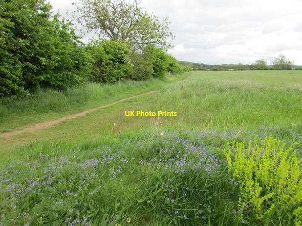 Photo 6"x4" Bridleway to Wintringham Thorpe Bassett c2015